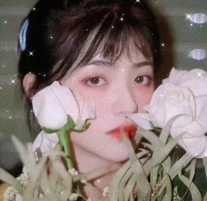 公主与哥布林